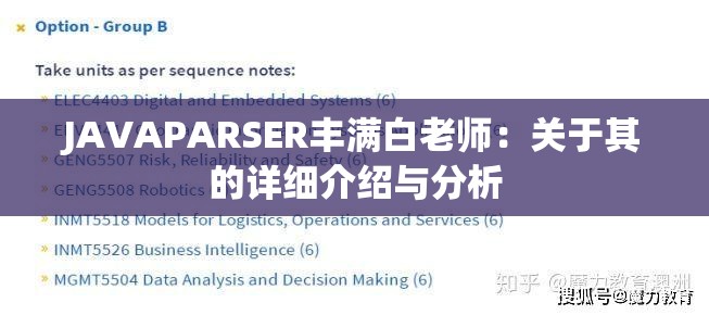 JAVAPARSER丰满白老师：关于其的详细介绍与分析