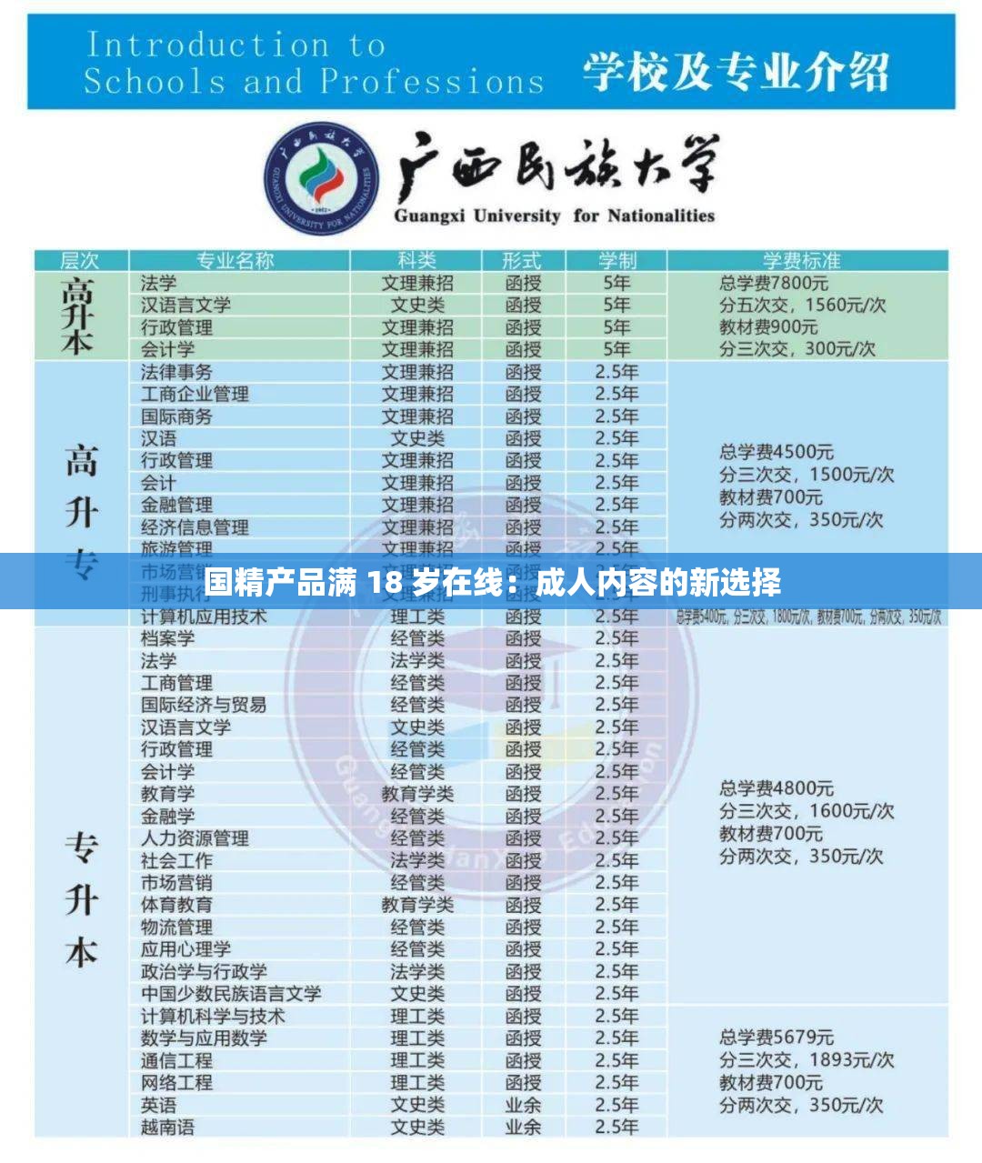 国精产品满 18 岁在线：成人内容的新选择