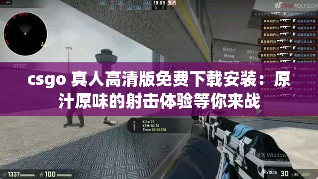 csgo 真人高清版免费下载安装：原汁原味的射击体验等你来战