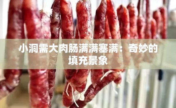 小洞需大肉肠满满塞满：奇妙的填充景象