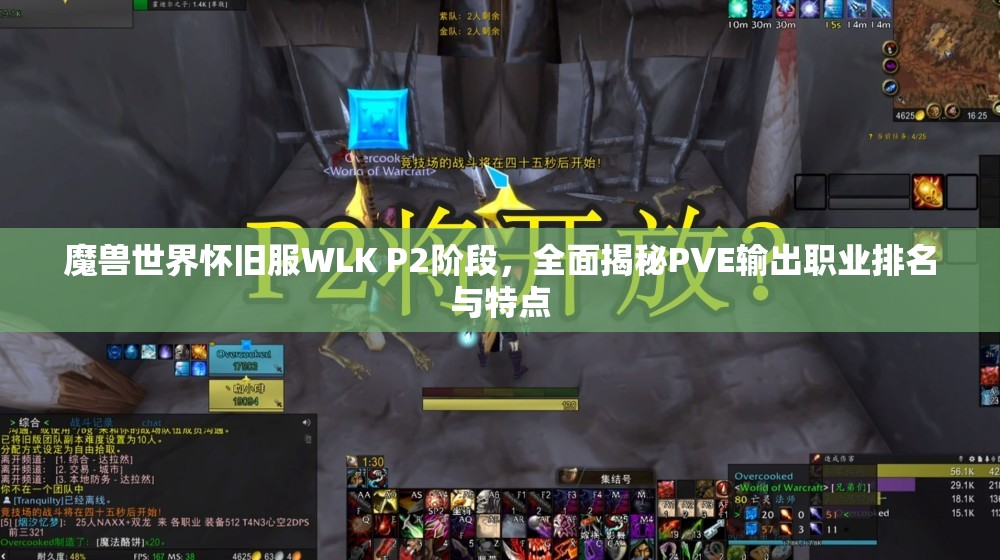 魔兽世界怀旧服WLK P2阶段，全面揭秘PVE输出职业排名与特点