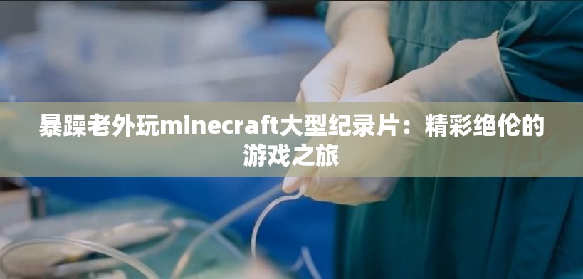 暴躁老外玩minecraft大型纪录片：精彩绝伦的游戏之旅