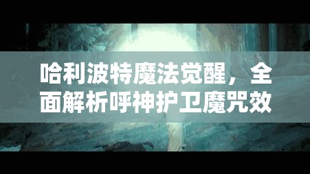 哈利波特魔法觉醒，全面解析呼神护卫魔咒效果及其在资源管理策略中的核心作用