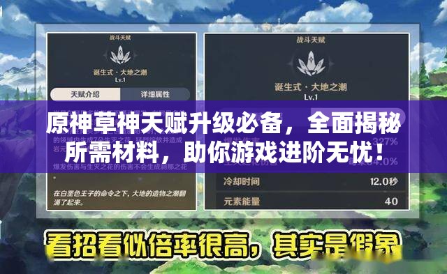 原神草神天赋升级必备，全面揭秘所需材料，助你游戏进阶无忧！