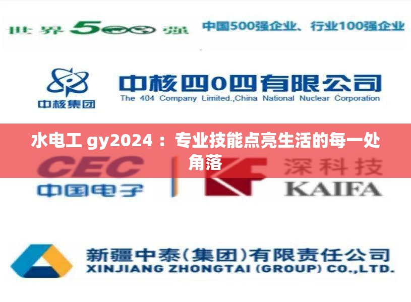 水电工 gy2024 ：专业技能点亮生活的每一处角落