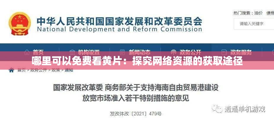 哪里可以免费看黄片：探究网络资源的获取途径