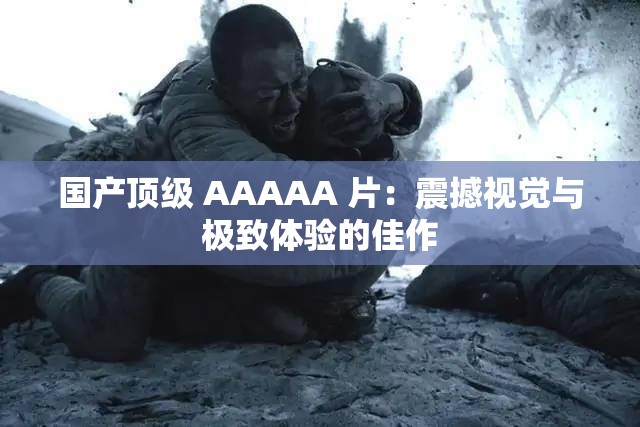 国产顶级 AAAAA 片：震撼视觉与极致体验的佳作