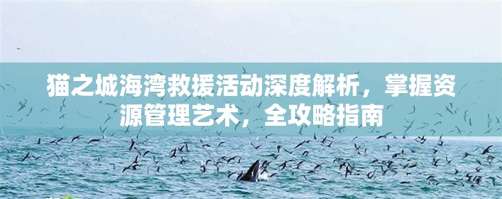 猫之城海湾救援活动深度解析，掌握资源管理艺术，全攻略指南