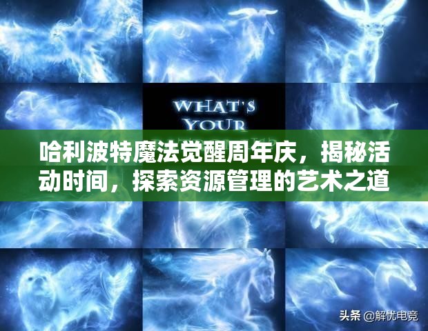 哈利波特魔法觉醒周年庆，揭秘活动时间，探索资源管理的艺术之道