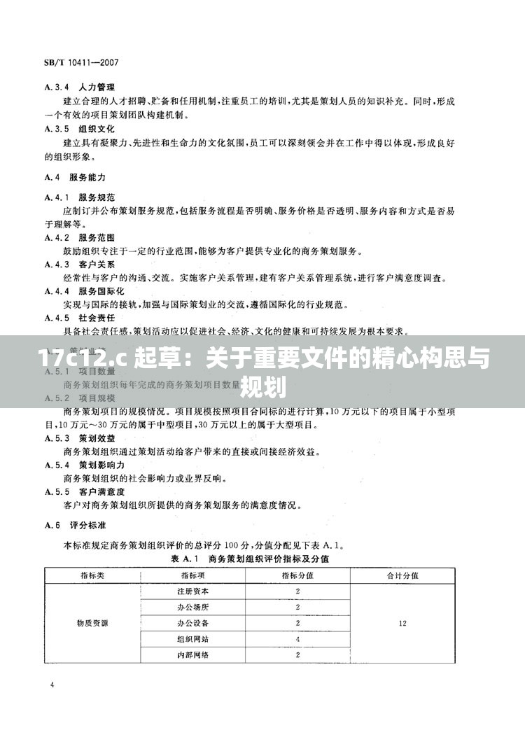 17c12.c 起草：关于重要文件的精心构思与规划