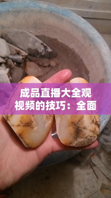 成品直播大全观视频的技巧：全面提升观看体验的实用指南