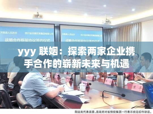 yyy 联姻：探索两家企业携手合作的崭新未来与机遇