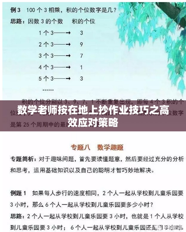 数学老师按在地上抄作业技巧之高效应对策略