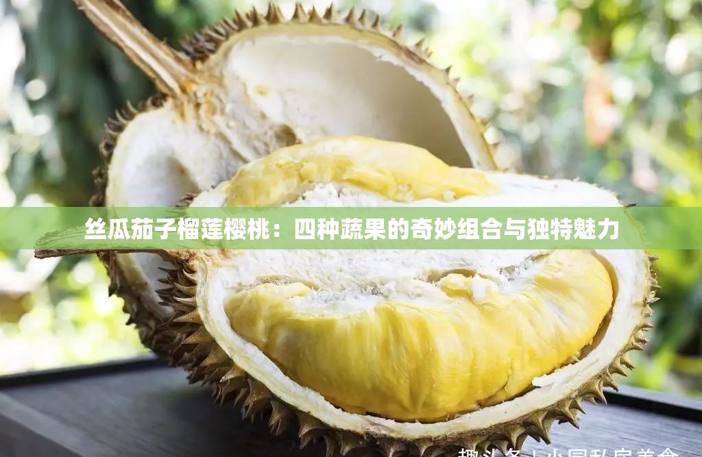 丝瓜茄子榴莲樱桃：四种蔬果的奇妙组合与独特魅力