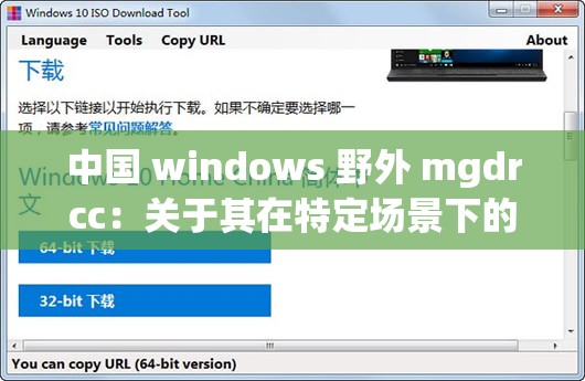 中国 windows 野外 mgdrcc：关于其在特定场景下的深入探讨与研究