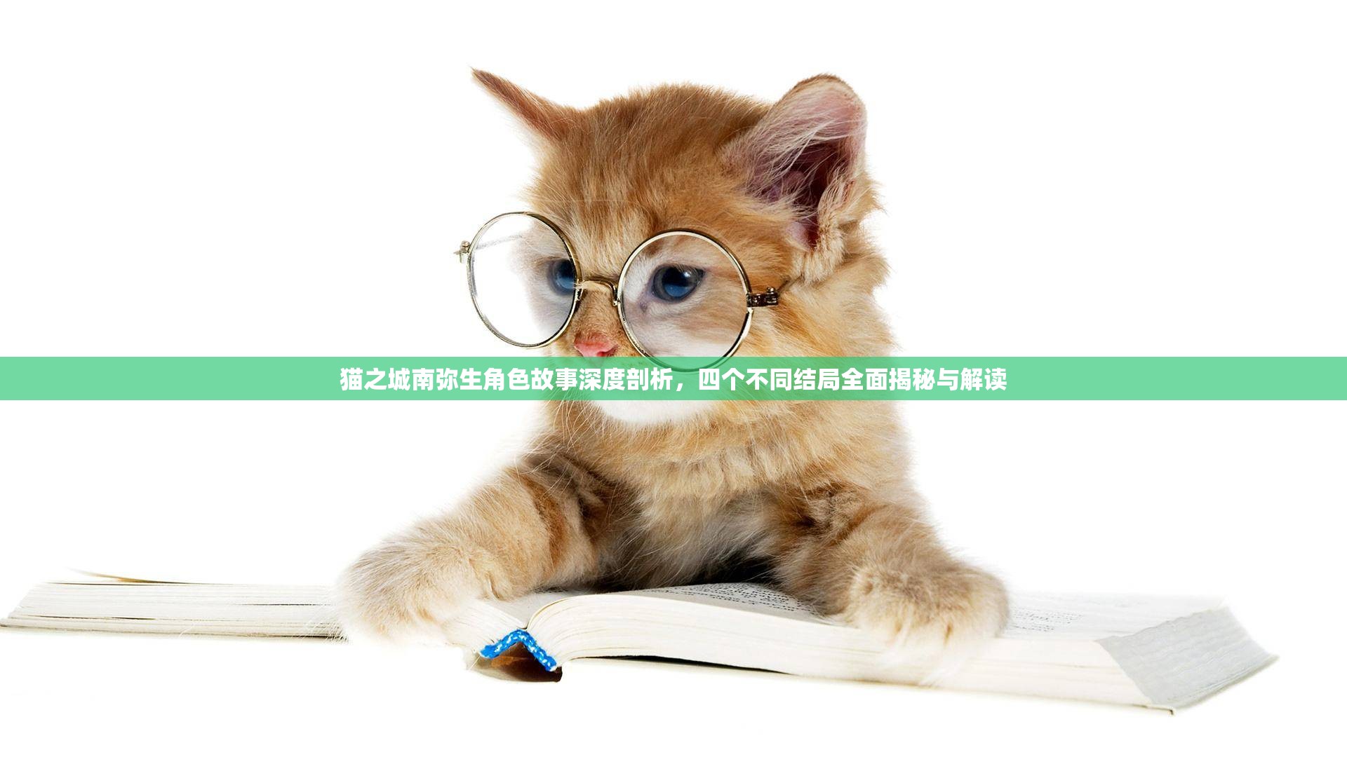 猫之城南弥生角色故事深度剖析，四个不同结局全面揭秘与解读