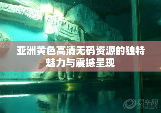 亚洲黄色高清无码资源的独特魅力与震撼呈现