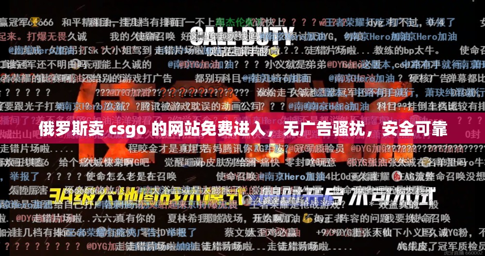 俄罗斯卖 csgo 的网站免费进入，无广告骚扰，安全可靠