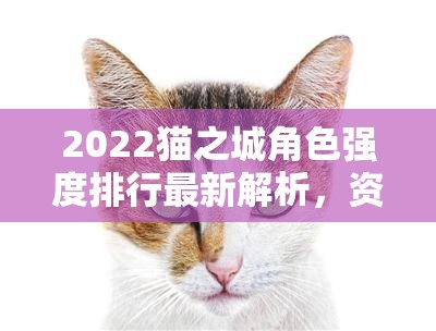 2022猫之城角色强度排行最新解析，资源管理、高效利用策略及防浪费指南