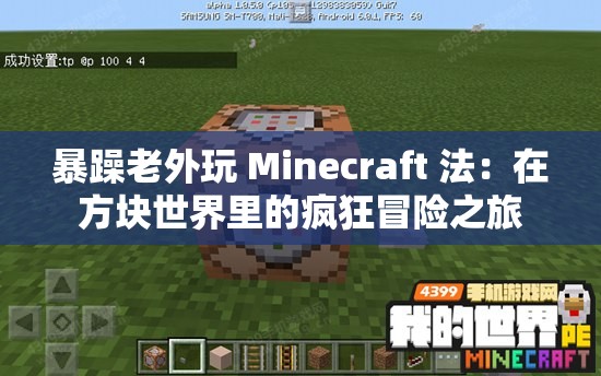 暴躁老外玩 Minecraft 法：在方块世界里的疯狂冒险之旅