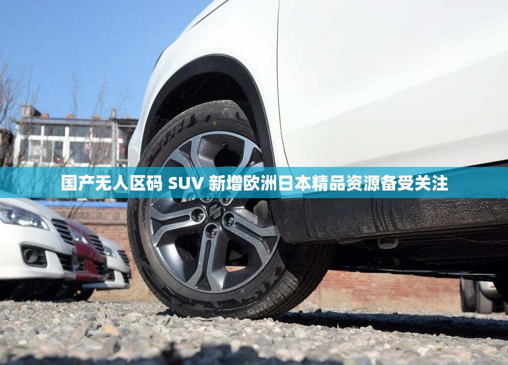国产无人区码 SUV 新增欧洲日本精品资源备受关注