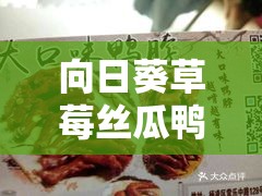 向日葵草莓丝瓜鸭脖：清新与美味的完美结合