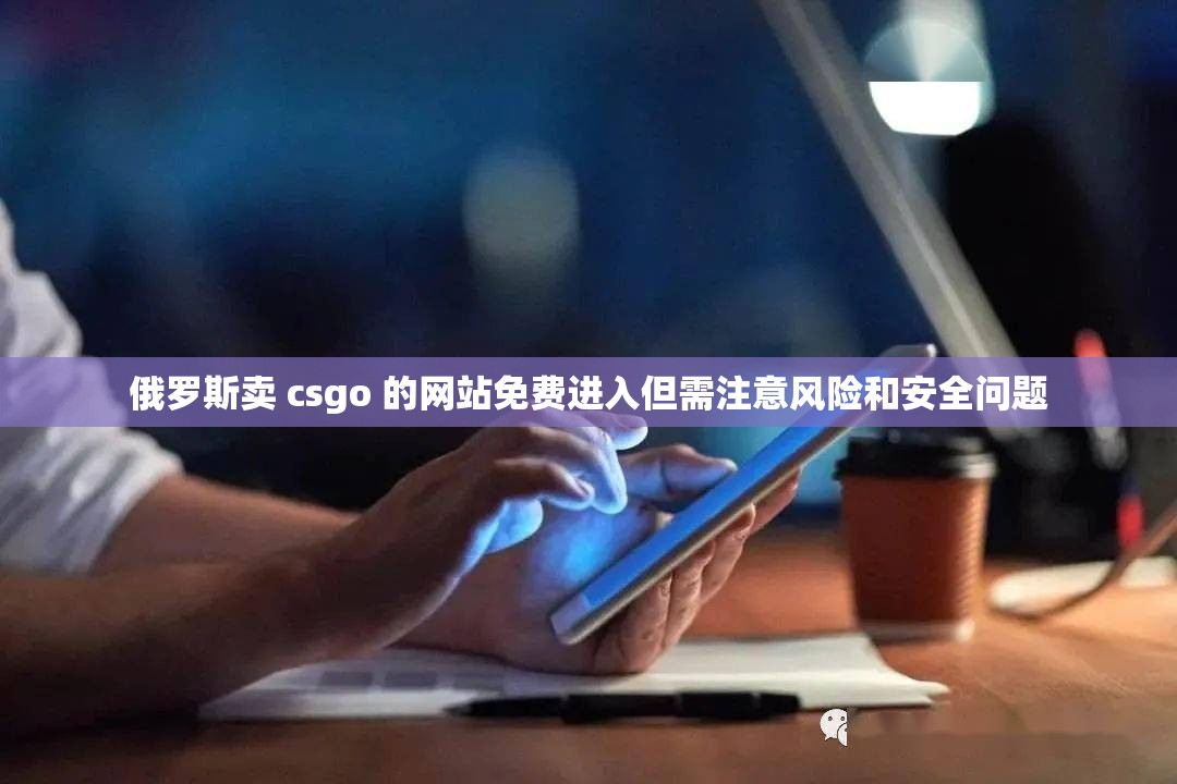 俄罗斯卖 csgo 的网站免费进入但需注意风险和安全问题