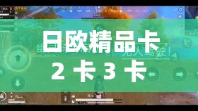 日欧精品卡 2 卡 3 卡 4 卡 5 带来的独特视觉盛宴