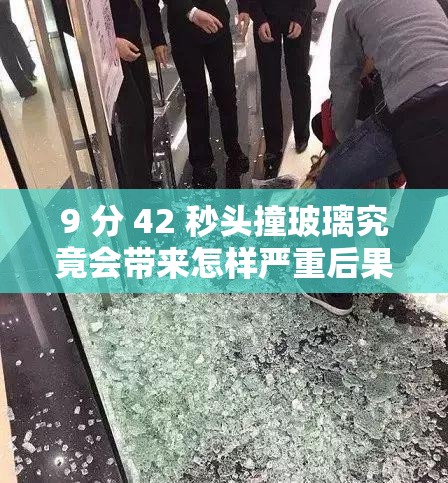 9 分 42 秒头撞玻璃究竟会带来怎样严重后果