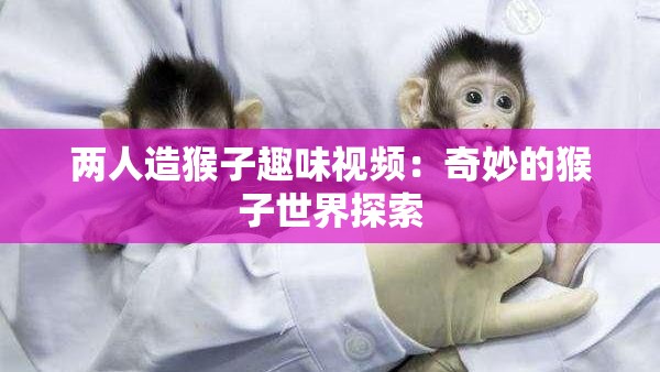 两人造猴子趣味视频：奇妙的猴子世界探索