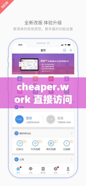 cheaper.work 直接访问：带你开启便捷高效的全新体验之旅