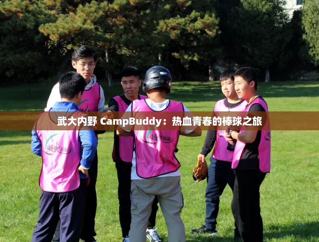 武大内野 CampBuddy：热血青春的棒球之旅