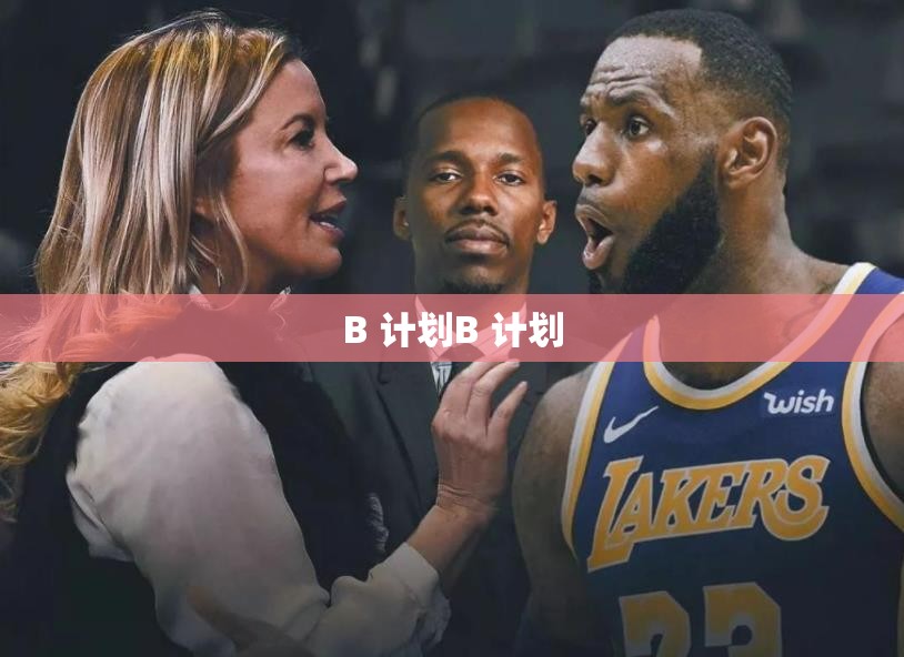 B 计划B 计划