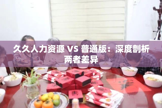 久久人力资源 VS 普通版：深度剖析两者差异