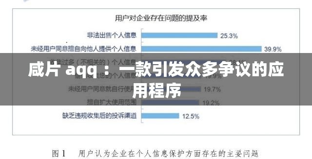 咸片 aqq ：一款引发众多争议的应用程序