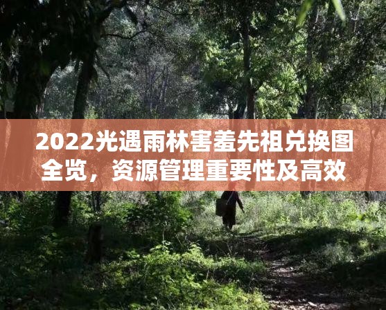 2022光遇雨林害羞先祖兑换图全览，资源管理重要性及高效策略解析