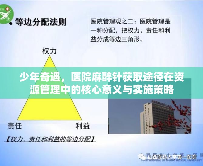 少年奇遇，医院麻醉针获取途径在资源管理中的核心意义与实施策略