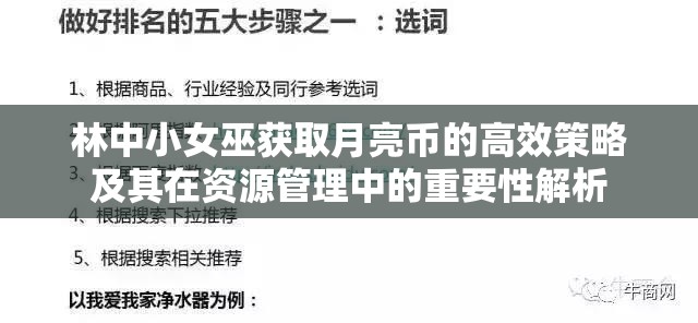 林中小女巫获取月亮币的高效策略及其在资源管理中的重要性解析