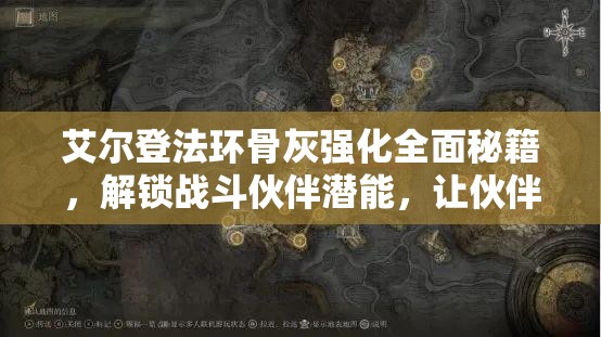 艾尔登法环骨灰强化全面秘籍，解锁战斗伙伴潜能，让伙伴更强大无敌