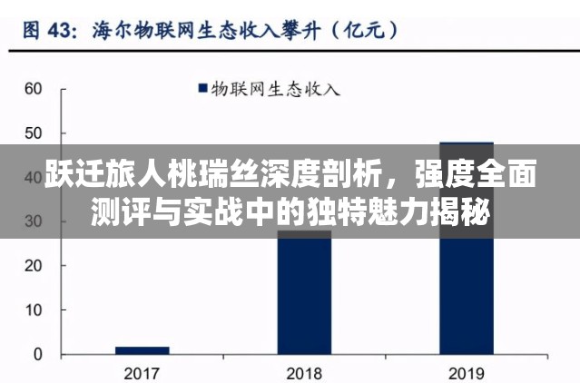 跃迁旅人桃瑞丝深度剖析，强度全面测评与实战中的独特魅力揭秘