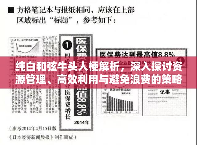 纯白和弦牛头人梗解析，深入探讨资源管理、高效利用与避免浪费的策略