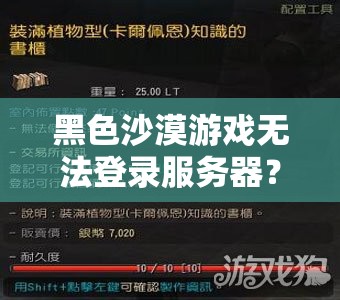 黑色沙漠游戏无法登录服务器？全面解析解决方法与技巧