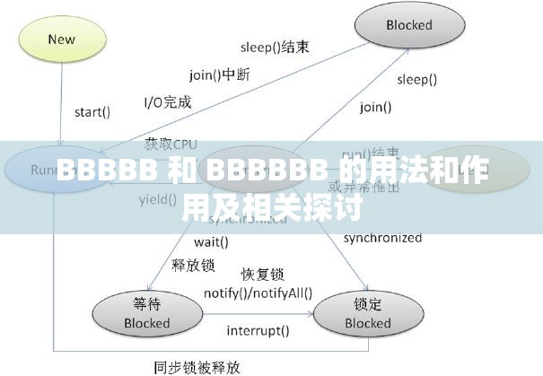 BBBBB 和 BBBBBB 的用法和作用及相关探讨