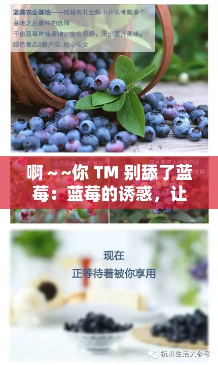 啊～~你 TM 别舔了蓝莓：蓝莓的诱惑，让他无法抗拒