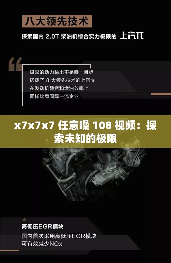 x7x7x7 任意噪 108 视频：探索未知的极限