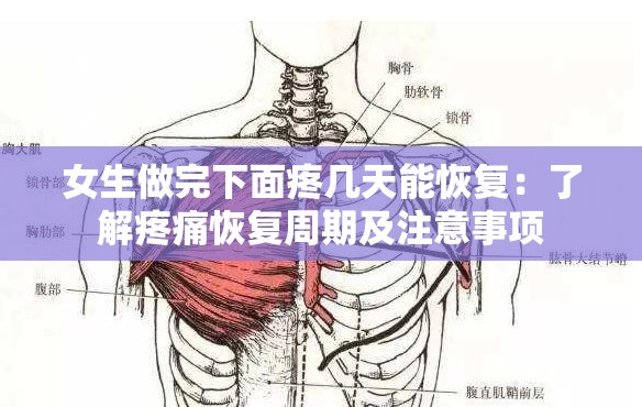 女生做完下面疼几天能恢复：了解疼痛恢复周期及注意事项