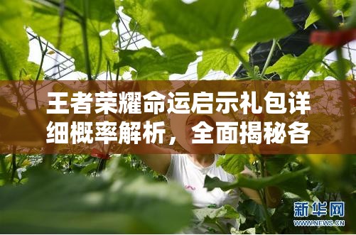 王者荣耀命运启示礼包详细概率解析，全面揭秘各类奖励获取几率