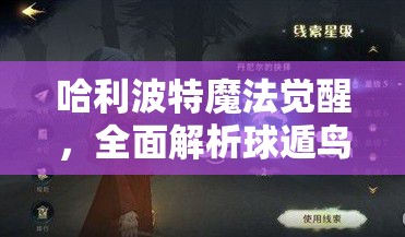 哈利波特魔法觉醒，全面解析球遁鸟获得途径及寻找其全位置攻略