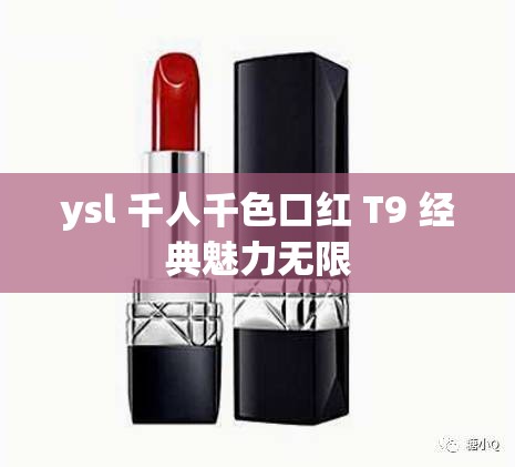 ysl 千人千色口红 T9 经典魅力无限