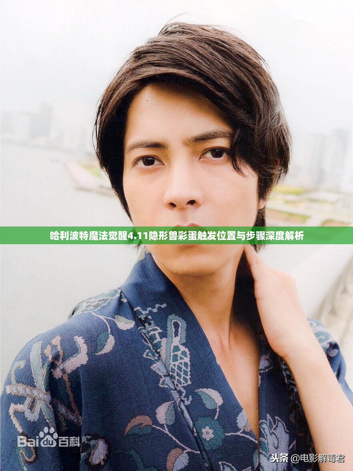哈利波特魔法觉醒4.11隐形兽彩蛋触发位置与步骤深度解析